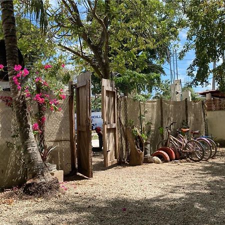 Hotel Selva Bacalar - Free Bike Rental Extérieur photo