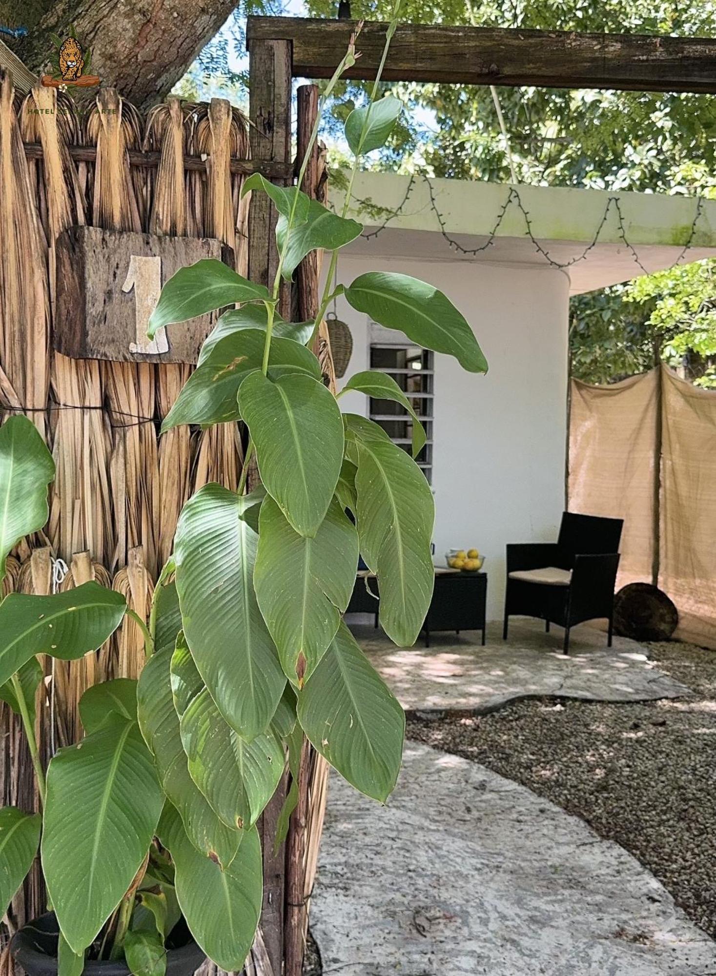 Hotel Selva Bacalar - Free Bike Rental Extérieur photo
