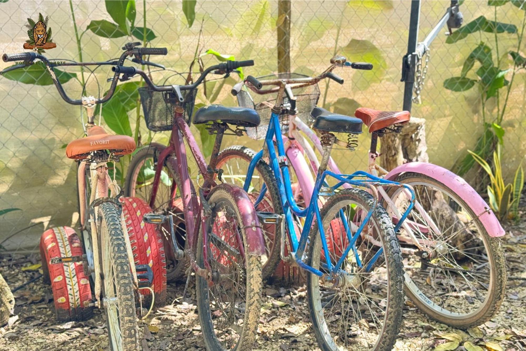 Hotel Selva Bacalar - Free Bike Rental Extérieur photo
