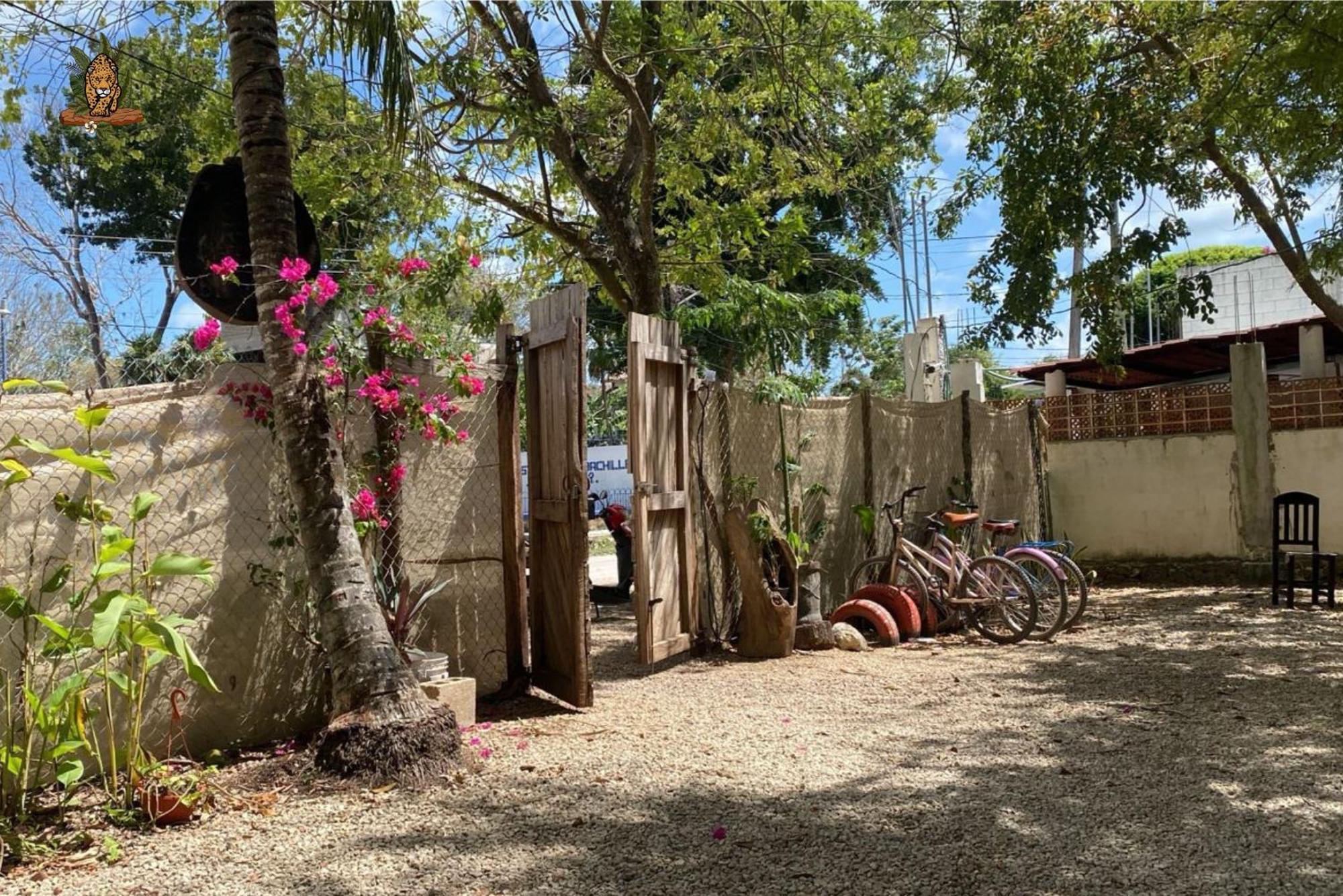 Hotel Selva Bacalar - Free Bike Rental Extérieur photo
